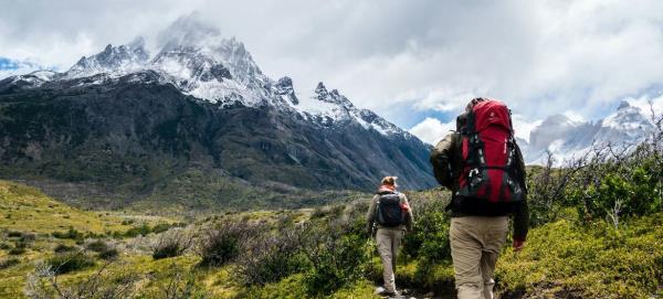 The UN is supporting government efforts to prevent biodiversity loss in Chile.