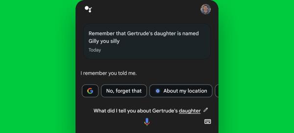 Google Assistant Android: Remember