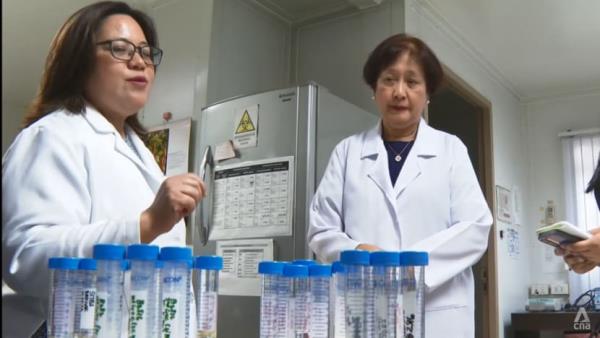 Scientists hope to bank on local vaccine as leptospirosis cases hit 5-year high in Philippines