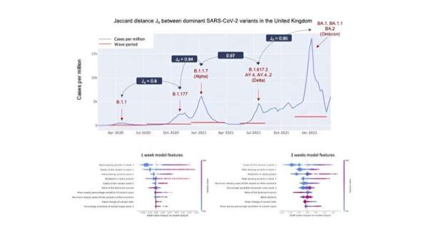 用人工智能预测COVID-19变异波