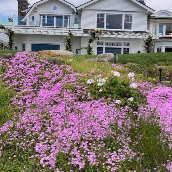 House with flowers in front of it