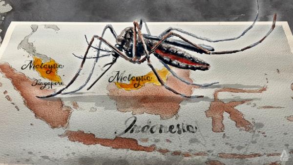 IN FOCUS: Is Southeast Asia losing the battle against dengue?