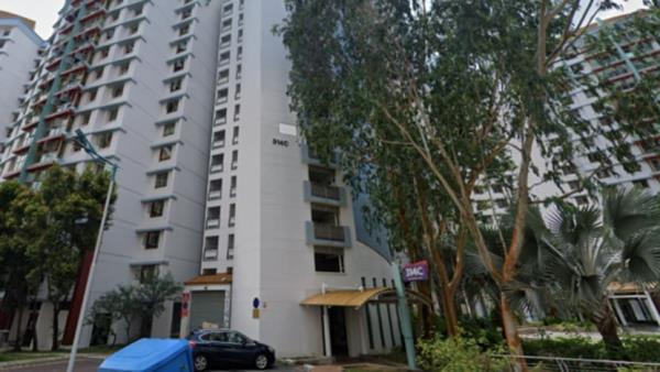 Authorities investigating 'misleading' S$2 million Sengkang 'jumbo flat' listing