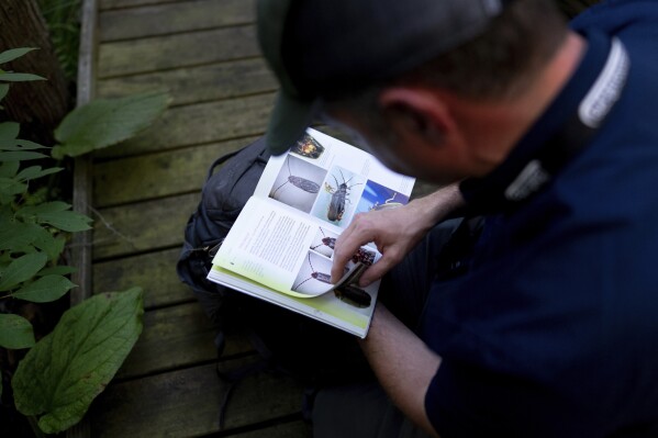 Firefly researcher and guide Matthew Speights looks through the book 