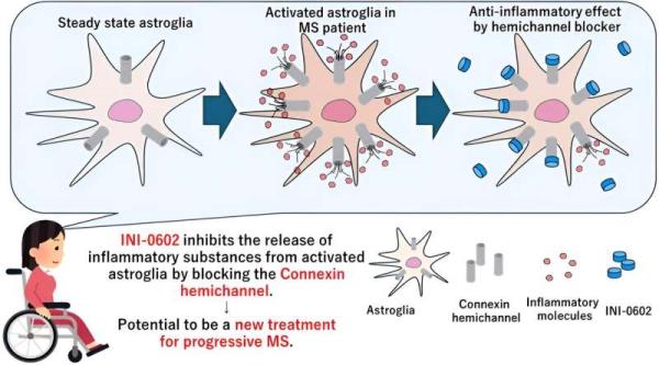 Investigating the effect of alemtuzumab in allogeneic hematopoietic cell transplantation in patients with inborn errors of immunity