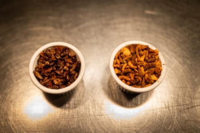 Two small pots filled with dried crickets