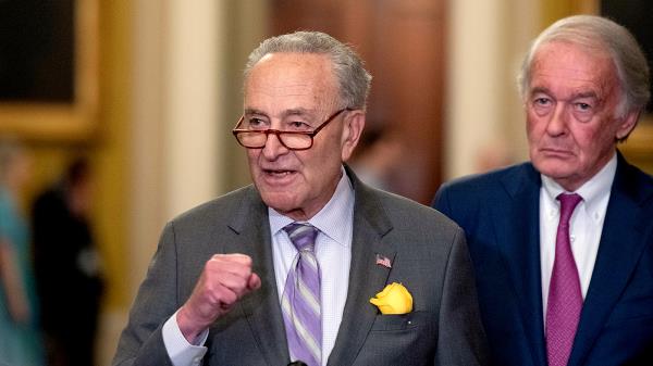 Senate Majority Leader Chuck Schumer (D-N.Y.) speaks to reporters.