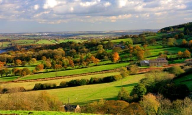 A view over the Amber Valley. There are fields in different shades of green and trees in shades of green, orange and brown. There is a brick farmhouse and some farm buildings. The sky is blue with some fluffy white clouds