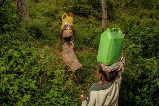 Children with co<em></em>ntainers balanced on their heads make their way along a path lined with thick undergrowth.