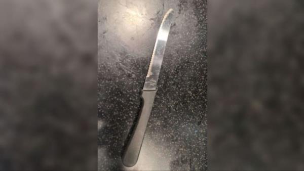 Woman charged with trying to rob diner at Han's Restaurant while armed with knife