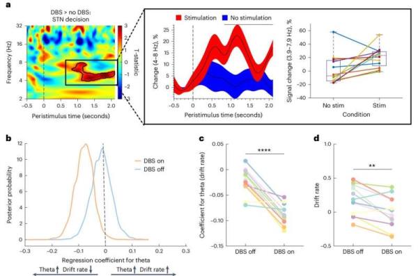 Research team models impulsivity and risk aversion using deep brain stimulation