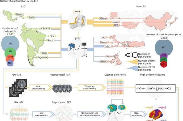 Research reveals enviro<em></em>nmental and disease factors can speed up the brain's biological age