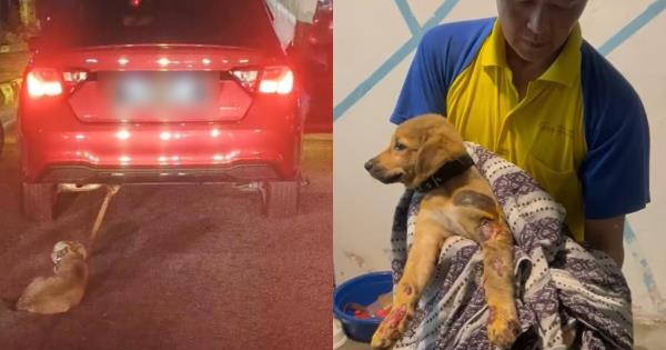 Driver 'unaware' he was dragging puppy behind car in Malaysia