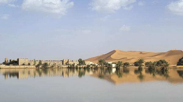 Water gushes through palm trees and sand dunes after rare rain in Sahara Desert