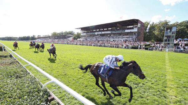 Colm Greaves: Five things to watch out for in the Arc