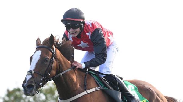 Royal Hollow eyes hurdling hat-trick at Gowran