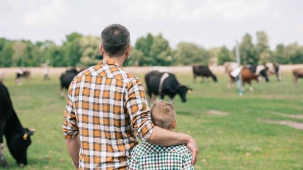 Ask a solicitor: It's really time I transferred the farm - what do I need to know