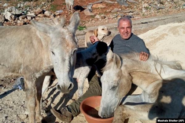 In this photo provided by Mashala Shelter, Hussein Hamza feeds dogs at his animal shelter in Kfour, south Lebanon in 2024. (Mashala Shelter via AP)