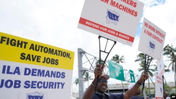 Dockworkers from Port Miami display signs at a picket line, Oct. 3, 2024, in Miami.