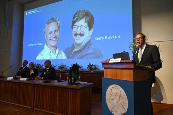 Nobel Committee Secretary General Thomas Perlmann speaks to the media in front of a picture of this year's laureates Victor Ambros and Gary Ruvkum during the announcement of the winners of the 2024 Nobel Prize in Physiology or Medicine at the Karolinska Institute in Stockholm on October 7, 2024.