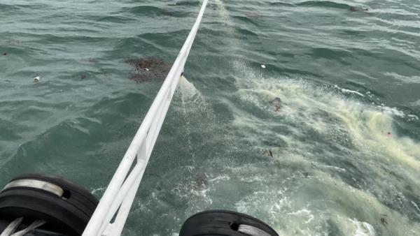 石油管道泄漏：在滨海拦河坝、圣淘沙和东海岸公园部署了围油栏