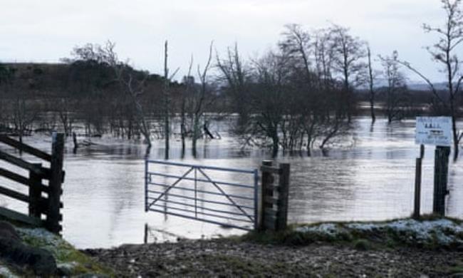 A flooded field